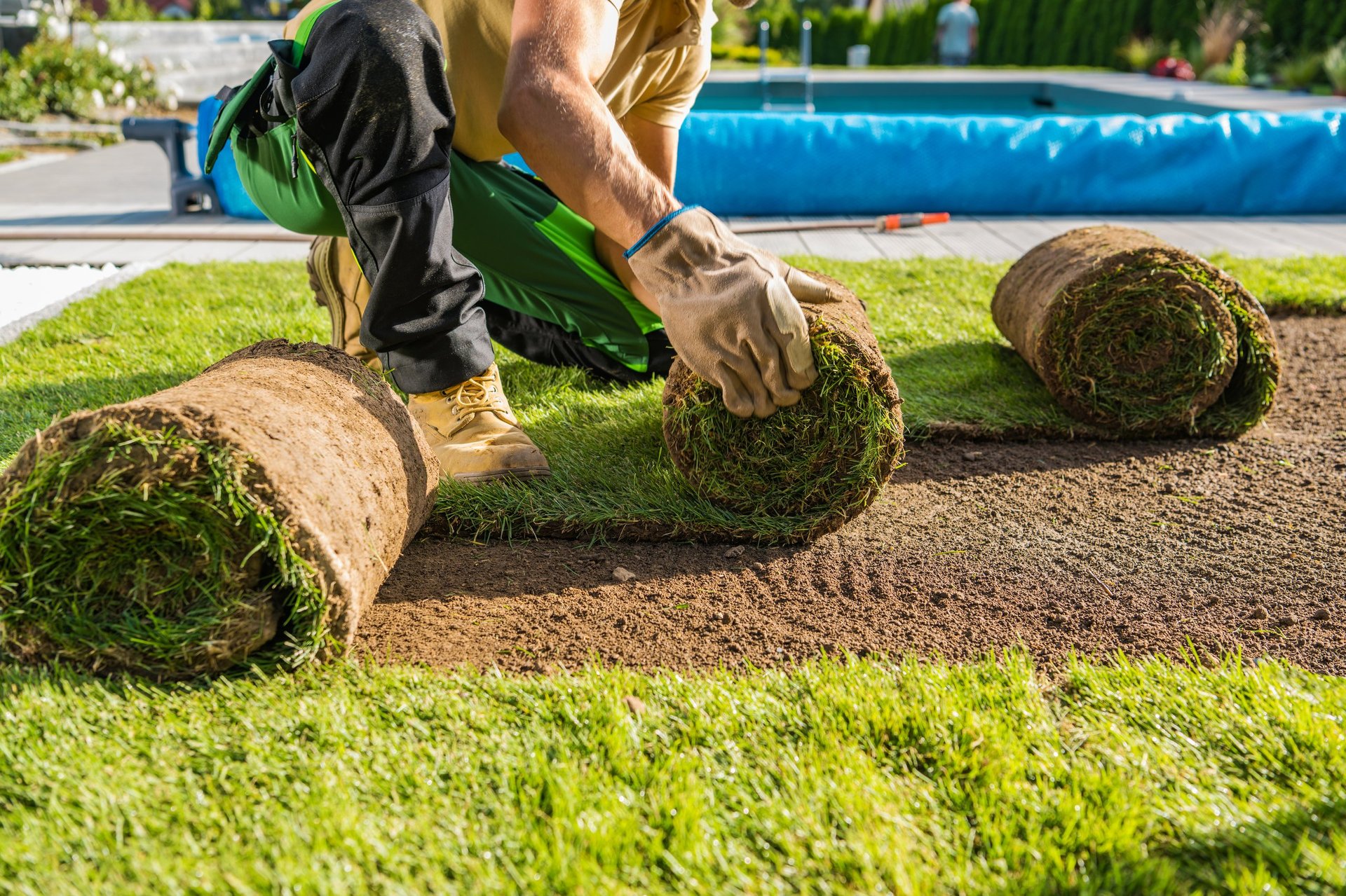 Fresh grass turf installation
